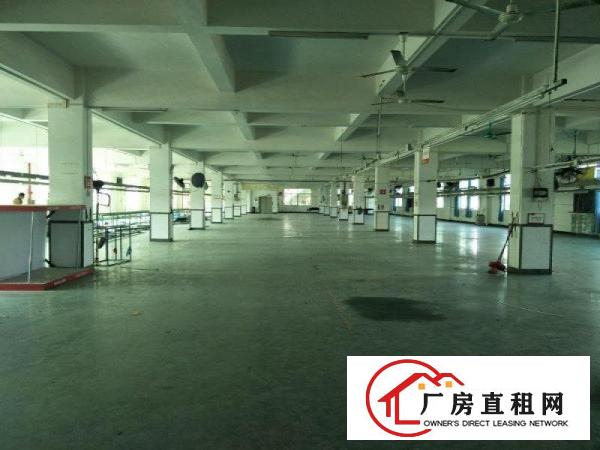  大岭山厚大路可办环评独门独院标准8800平厂房招租