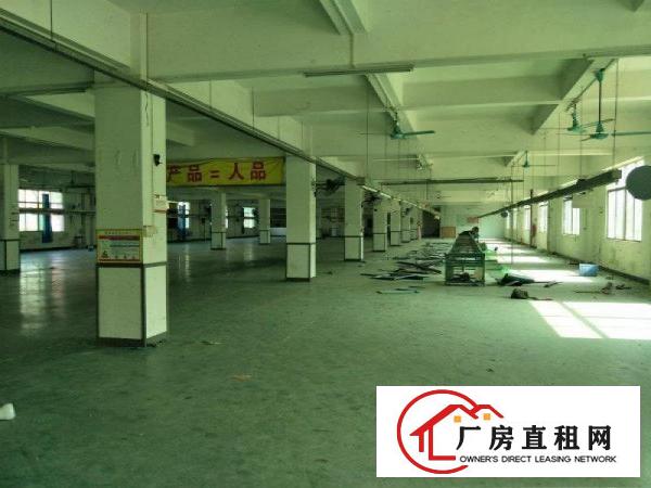  大岭山厚大路可办环评独门独院标准8800平厂房招租