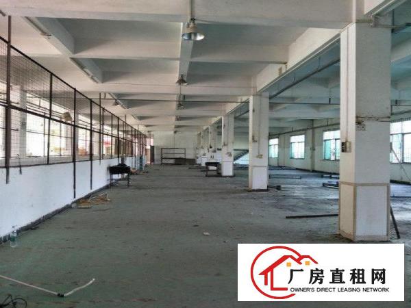  大岭山厚大路可办环评独门独院标准8800平厂房招租
