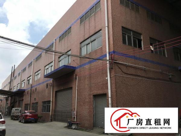  业主直租，大岭山新塘村1920平米一楼旧厂房低价出，无中介