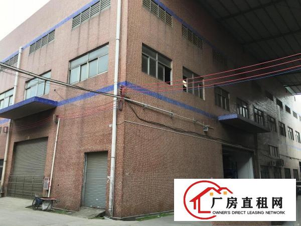  业主直租，大岭山新塘村1920平米一楼旧厂房低价出，无中介