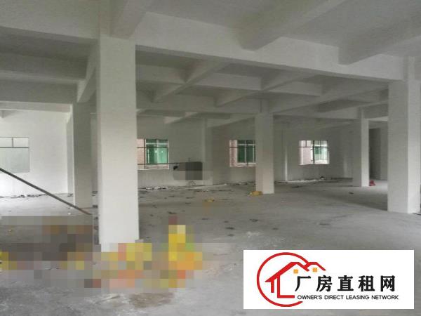  杨屋原房东标准3层900平厂房出租带精装修水电无公摊杂费