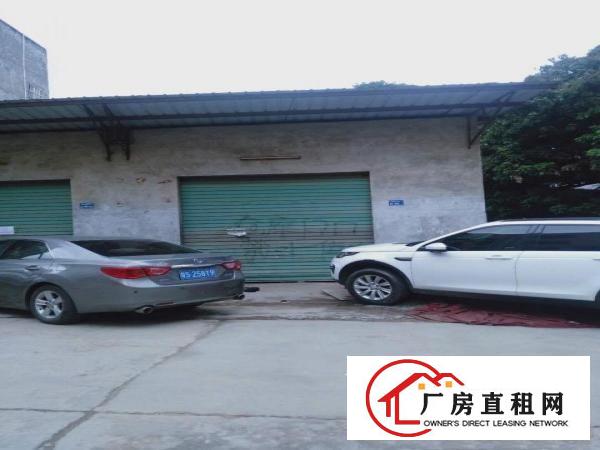  原房东，靠路边，金桔出单一层铁皮房160平低价出租