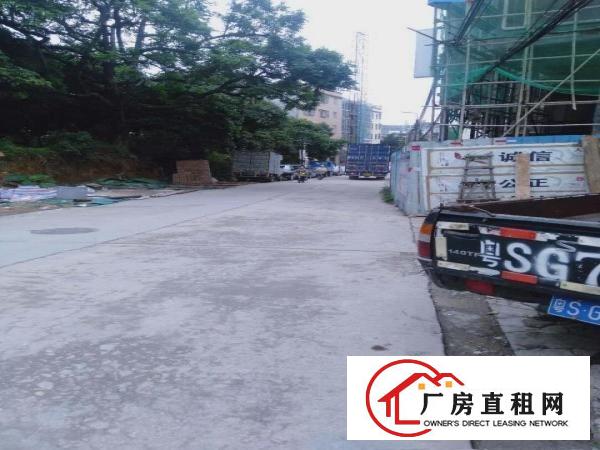  原房东，靠路边，金桔出单一层铁皮房160平低价出租