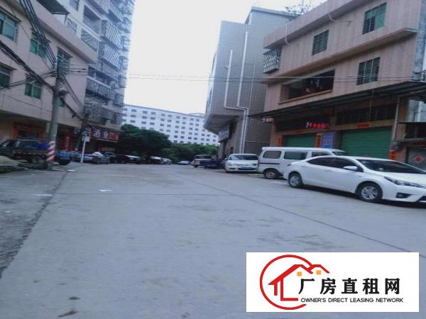  原房东，靠路边，金桔出单一层铁皮房160平低价出租
