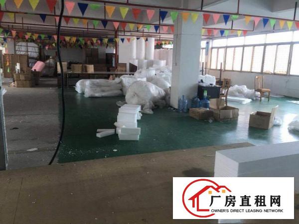  房东免费帮装修大岭山镇工业区出租楼上400平厂房