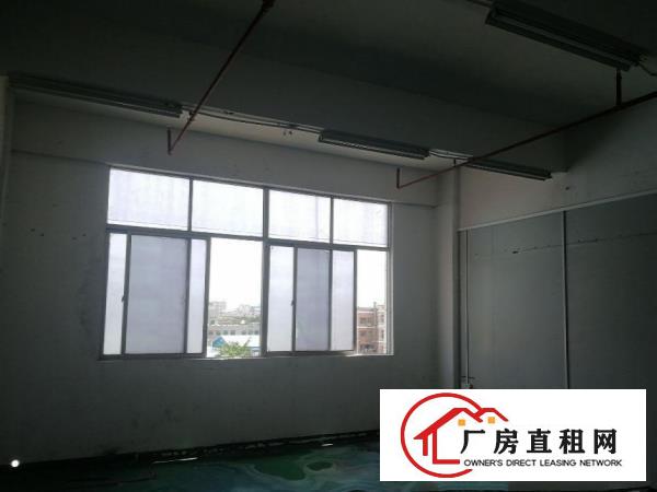  可做丝印等污染行业大岭山镇工业园出租楼上800平厂房
