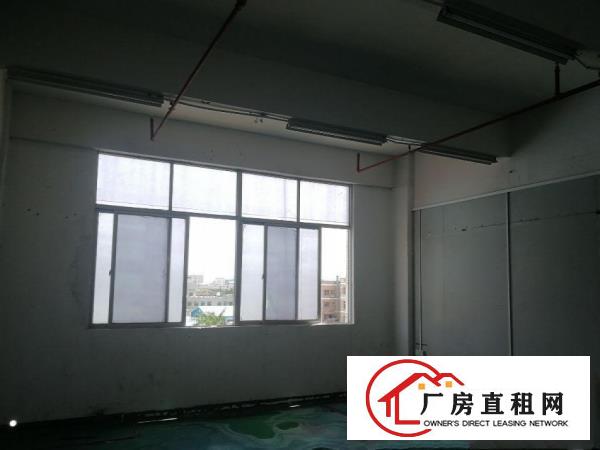  可做丝印等污染行业大岭山镇工业园出租楼上800平厂房