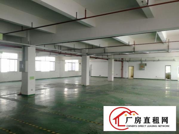  可做丝印等污染行业大岭山镇工业园出租楼上800平厂房