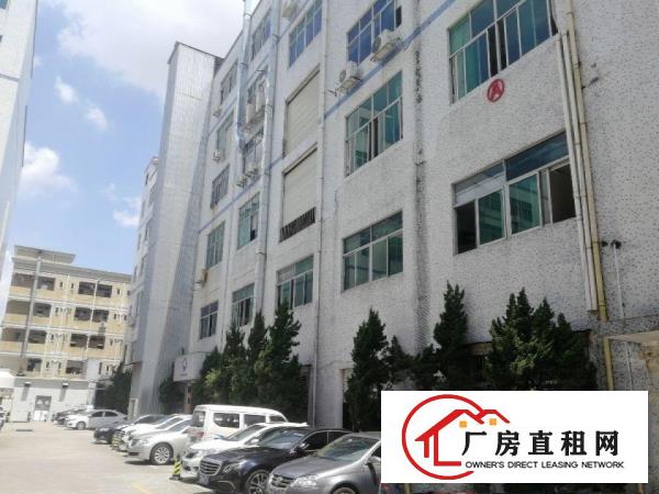  可做丝印等污染行业大岭山镇工业园出租楼上800平厂房