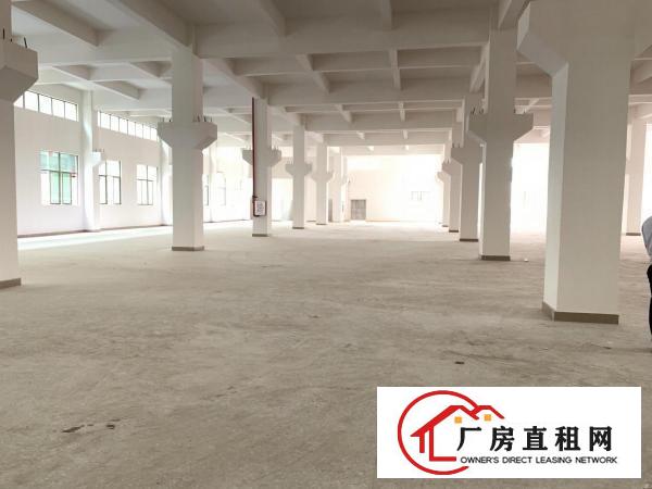  大岭山颜屋主干道边全新独院重工业厂房6950平出租，大小分租