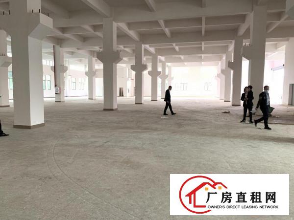  大岭山颜屋主干道边全新独院重工业厂房6950平出租，大小分租