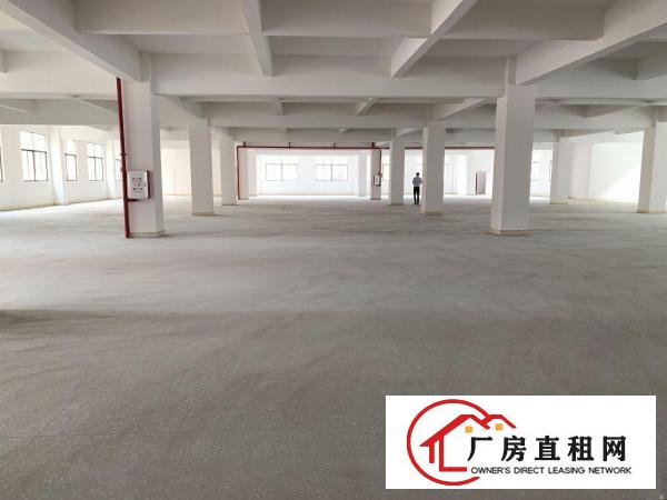  大岭山颜屋主干道边全新独院重工业厂房6950平出租，大小分租