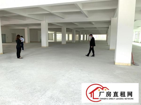  大岭山颜屋主干道边全新独院重工业厂房6950平出租，大小分租