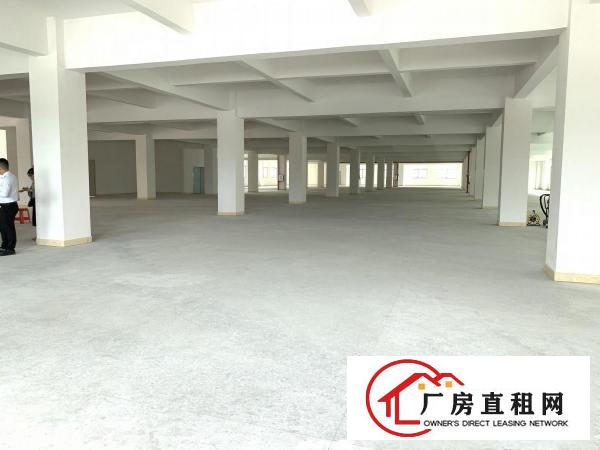  大岭山颜屋主干道边全新独院重工业厂房6950平出租，大小分租