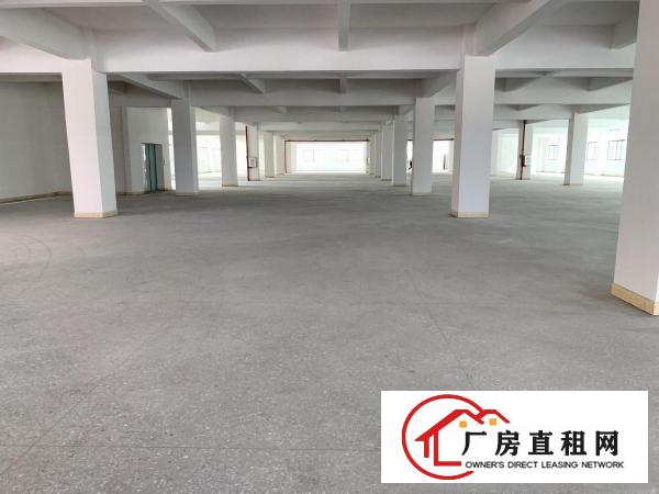  大岭山颜屋主干道边全新独院重工业厂房6950平出租，大小分租