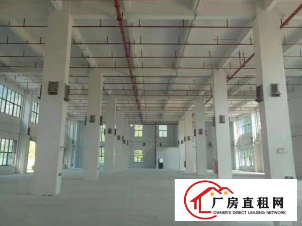  高科技产业园厂房招租，带政府补贴，带现成环评，可以分租