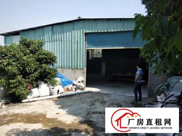  大岭山新出原房东300平铁皮小面积厂房出租,不限行业！