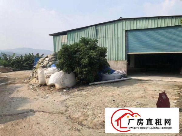  大岭山新出原房东300平铁皮小面积厂房出租,不限行业！