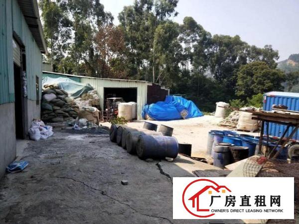  大岭山新出原房东300平铁皮小面积厂房出租,不限行业！
