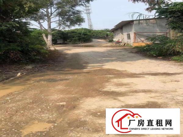  大岭山新出原房东300平铁皮小面积厂房出租,不限行业！
