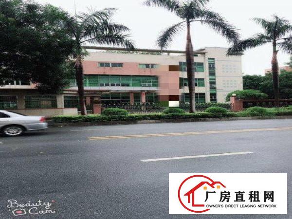  大岭山杨屋楼上560平厂房出租干净靓丽可办环评