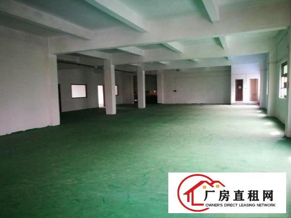 大岭山杨屋楼上560平厂房出租干净靓丽可办环评