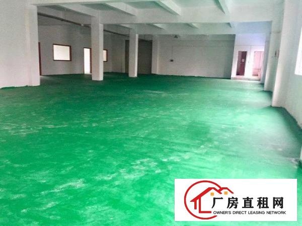  大岭山杨屋楼上560平厂房出租干净靓丽可办环评
