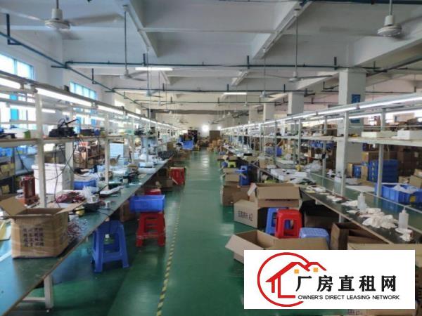  大岭山镇工业园出租二楼500平厂房带豪华办公室精装修可分租