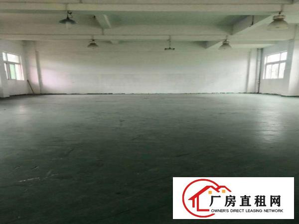  地坪漆厂房招租！！！大岭山新出一楼390平方厂房招租！！！！
