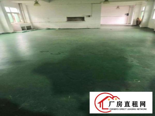  地坪漆厂房招租！！！大岭山新出一楼390平方厂房招租！！！！