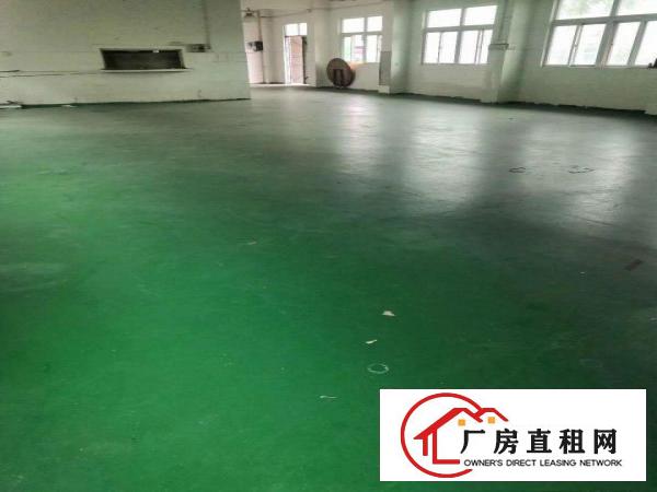  地坪漆厂房招租！！！大岭山新出一楼390平方厂房招租！！！！