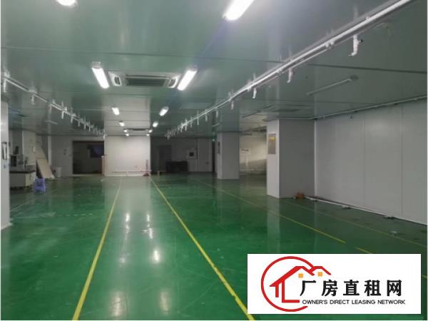  大岭山新出三楼厂房十万级无尘车间2600平方