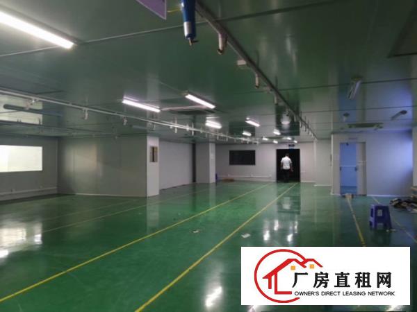  大岭山新出三楼厂房十万级无尘车间2600平方