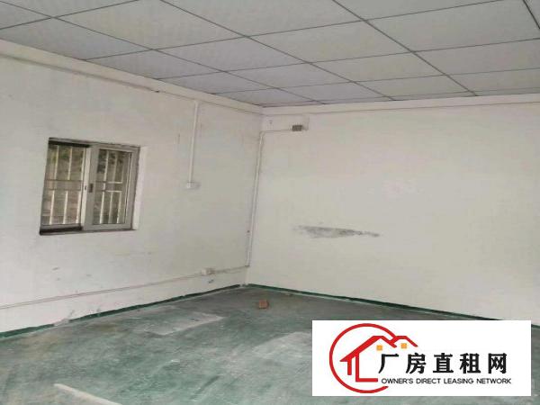  大岭山第三工业区新出600平方厂房，不限行业，价格优惠，