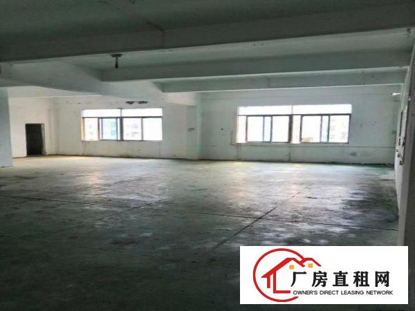  大岭山第三工业区新出600平方厂房，不限行业，价格优惠，