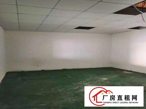  大岭山第三工业区新出600平方厂房，不限行业，价格优惠，