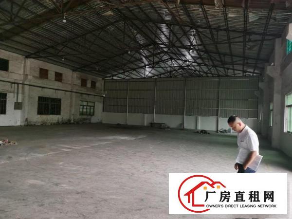  大岭山杨屋国道边5000平滴水8米以上钢构厂房出租物流空地大