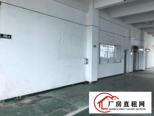  标准工业园新出厂房，热租中。