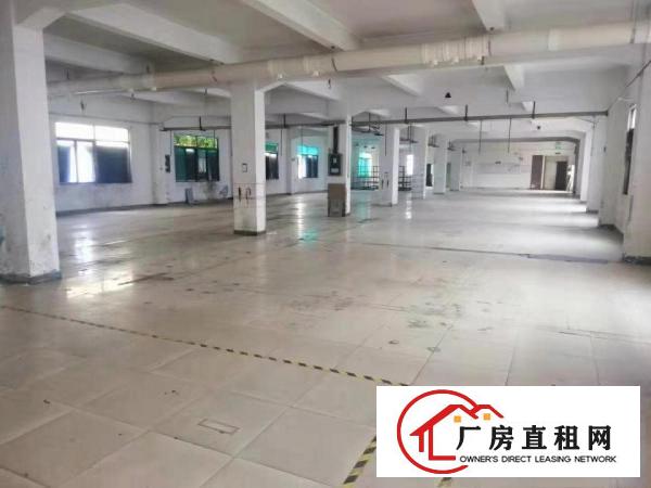  三天必租大沙村原房东独门独院4000平方厂房出租零公摊