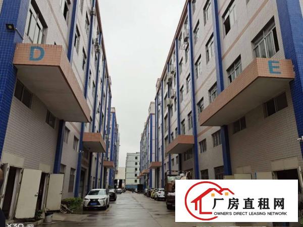  大岭山厚大路边工业园新出楼上精装修1700平厂房出租可办环评