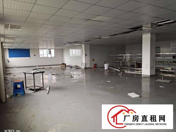  大岭山厚大路边工业园新出楼上精装修1700平厂房出租可办环评