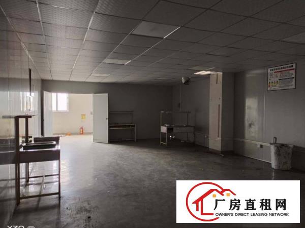  大岭山厚大路边工业园新出楼上精装修1700平厂房出租可办环评