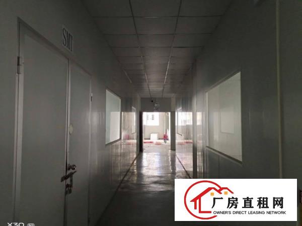  大岭山厚大路边工业园新出楼上精装修1700平厂房出租可办环评