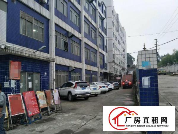  现成装修无尘车间颜屋工业园新出楼上500平厂房出租