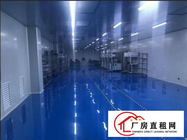  现成装修无尘车间颜屋工业园新出楼上500平厂房出租