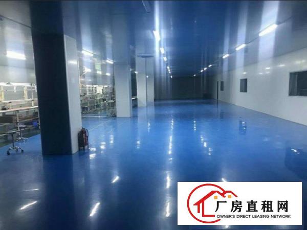  现成装修无尘车间颜屋工业园新出楼上500平厂房出租