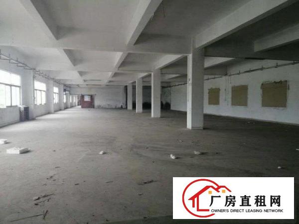  大岭山厚大路边新出楼上2600平厂房水电到位可办环评价格漂亮