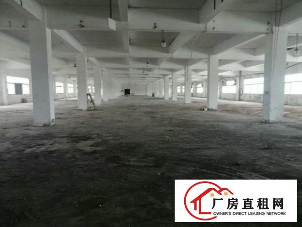  大岭山厚大路边新出楼上2600平厂房水电到位可办环评价格漂亮