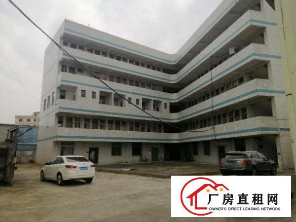  大岭山厚大路边新出楼上2600平厂房水电到位可办环评价格漂亮